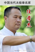 中国当代太极拳名家系列